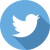 Twitter_icon_2021.jpg